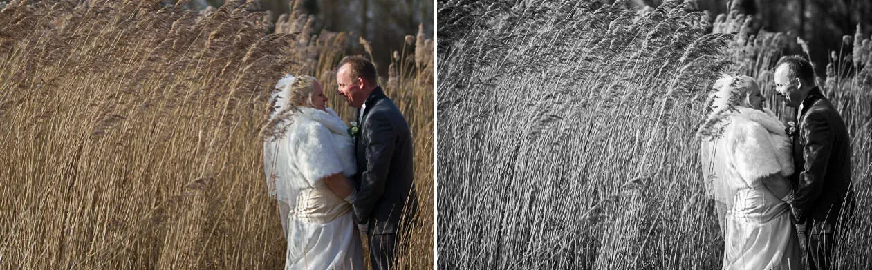 Cover for Goedkope trouwfotograaf: Doen of niet?